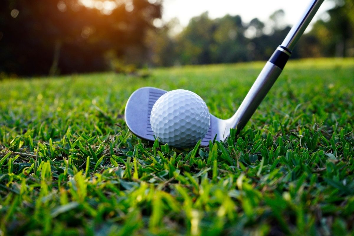 Golf : entre passion et divertissement